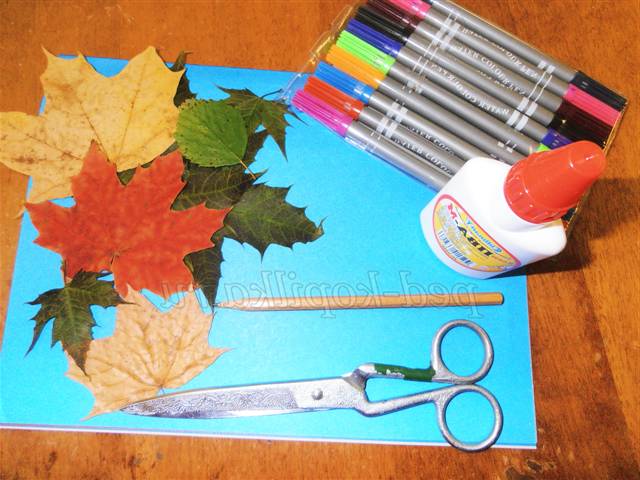 Аплікація з осіннього листя. Майстер-клас Аплікація з осіннього листя. Майстер-клас