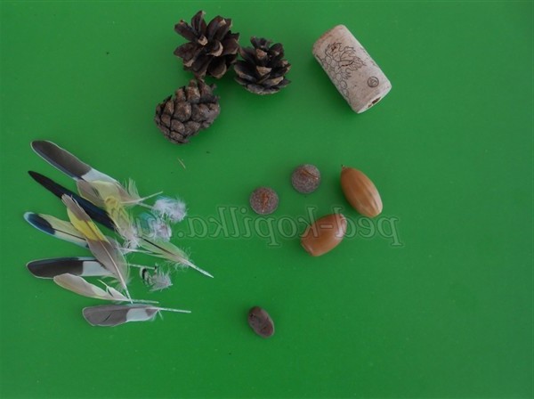 Осінні вироби з природного матеріалу для старших дошкільнят