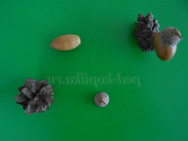 Осінні вироби з природного матеріалу для старших дошкільнят