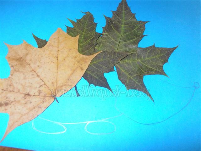 Аплікація з осіннього листя. Майстер-клас Аплікація з осіннього листя. Майстер-клас