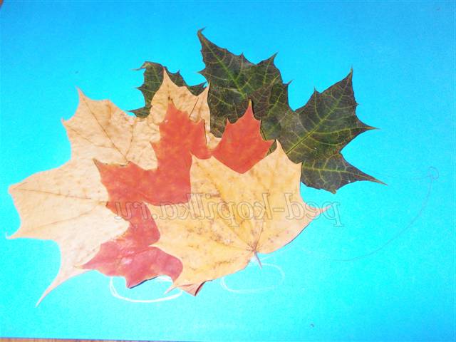 Аплікація з осіннього листя. Майстер-клас Аплікація з осіннього листя. Майстер-клас