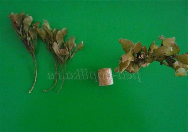 Осінні вироби з природного матеріалу для старших дошкільнят