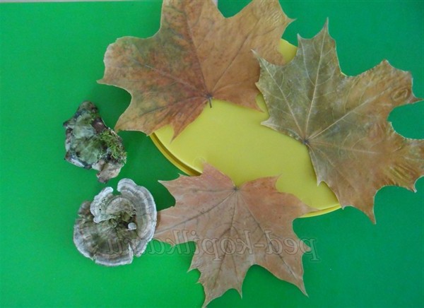 Осінні вироби з природного матеріалу для старших дошкільнят