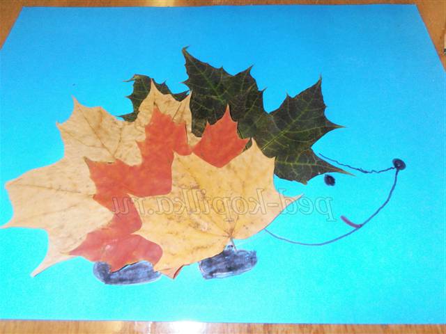 Аплікація з осіннього листя. Майстер-клас Аплікація з осіннього листя. Майстер-клас