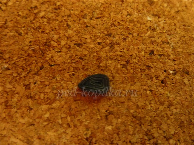 Картина в техніці квіллінг. Майстер-клас Картина в техніці квіллінг. Майстер-клас