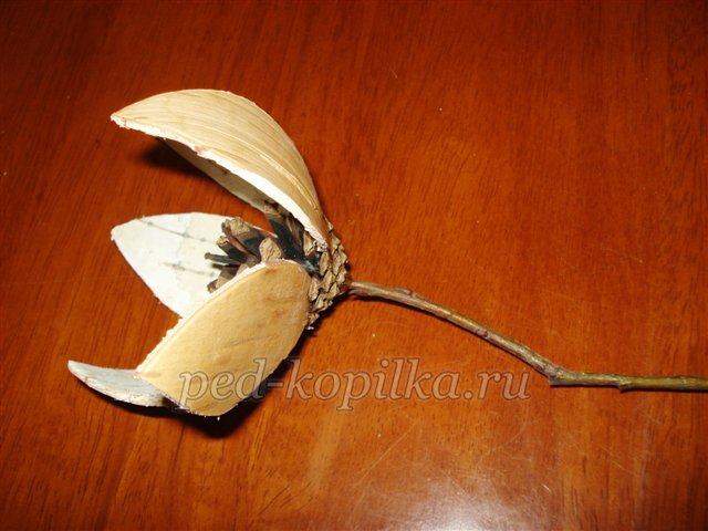 Майстер - клас із рукоділля «Красиві квіти з кори берези» Майстер - клас із рукоділля «Красиві квіти з кори берези»