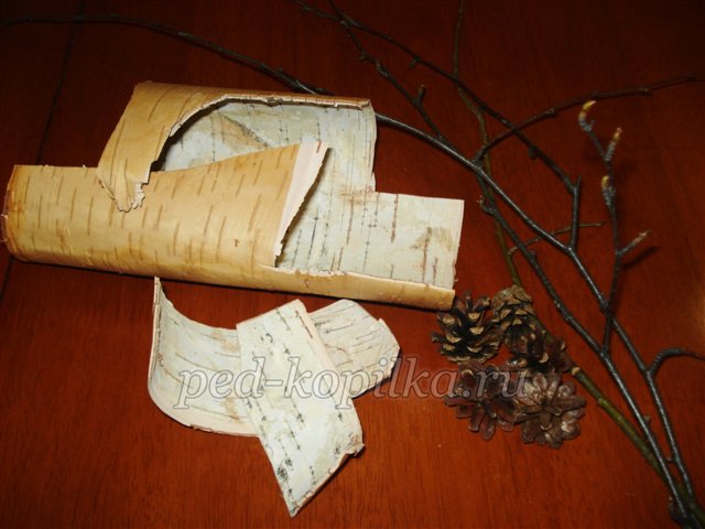 Майстер - клас із рукоділля «Красиві квіти з кори берези» Майстер - клас із рукоділля «Красиві квіти з кори берези»