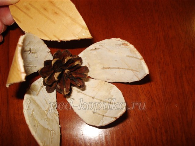 Майстер - клас із рукоділля «Красиві квіти з кори берези» Майстер - клас із рукоділля «Красиві квіти з кори берези»