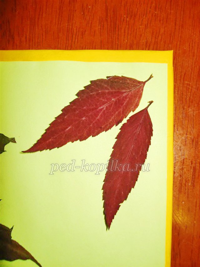 Майстер-клас Аплікація з сухого листя та Квілінг Майстер-клас Аплікація з сухого листя та Квілінг