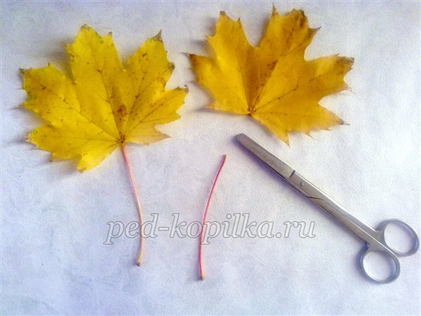 Троянди з листя клена. Осінній букет. Майстер-клас Троянди з листя клена. Осінній букет. Майстер-клас