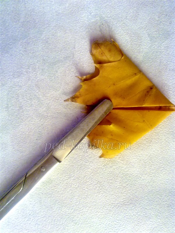 Троянди з листя клена. Осінній букет. Майстер-клас Троянди з листя клена. Осінній букет. Майстер-клас