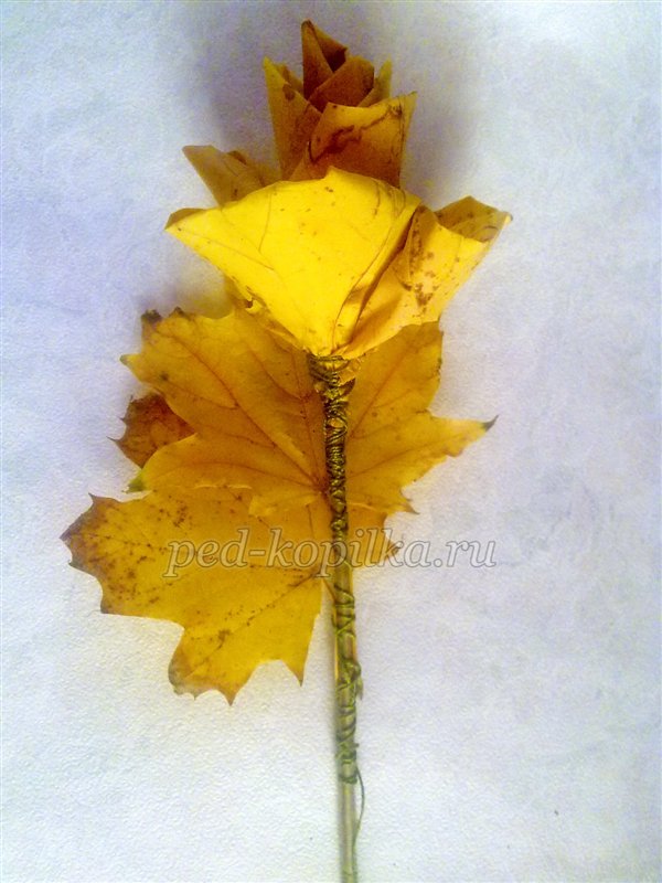 Троянди з листя клена. Осінній букет. Майстер-клас Троянди з листя клена. Осінній букет. Майстер-клас