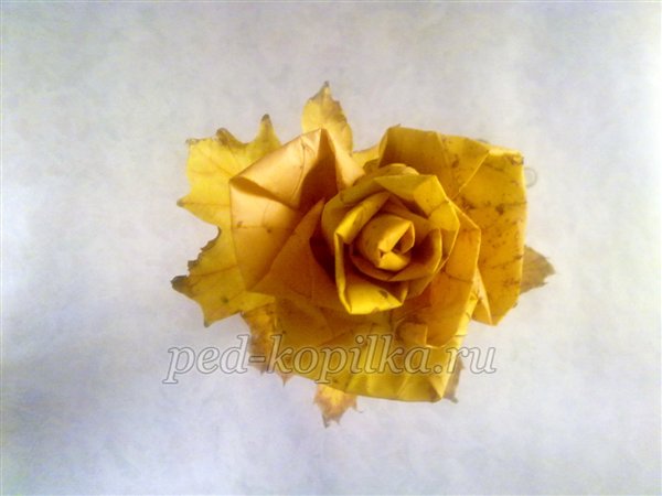 Троянди з листя клена. Осінній букет. Майстер-клас Троянди з листя клена. Осінній букет. Майстер-клас