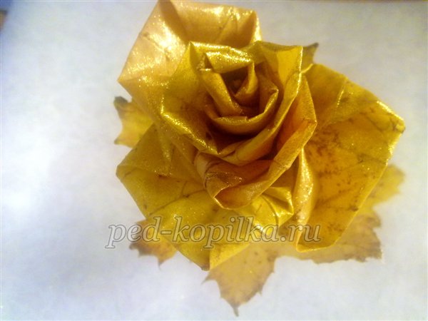 Троянди з листя клена. Осінній букет. Майстер-клас Троянди з листя клена. Осінній букет. Майстер-клас