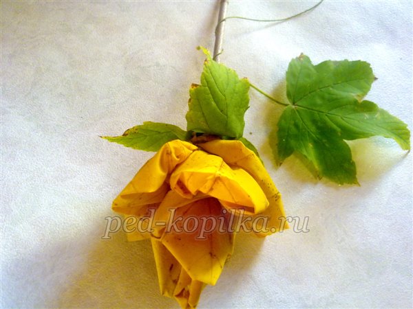 Троянди з листя клена. Осінній букет. Майстер-клас Троянди з листя клена. Осінній букет. Майстер-клас