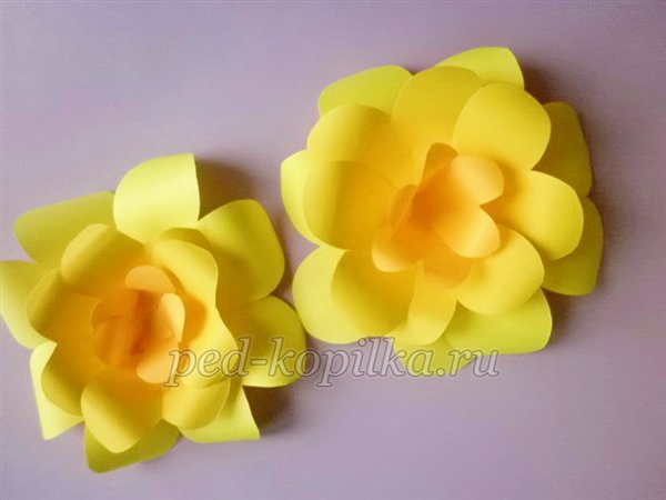 Панно з паперовими квітами. Майстер-клас Панно з паперовими квітами. Майстер-клас