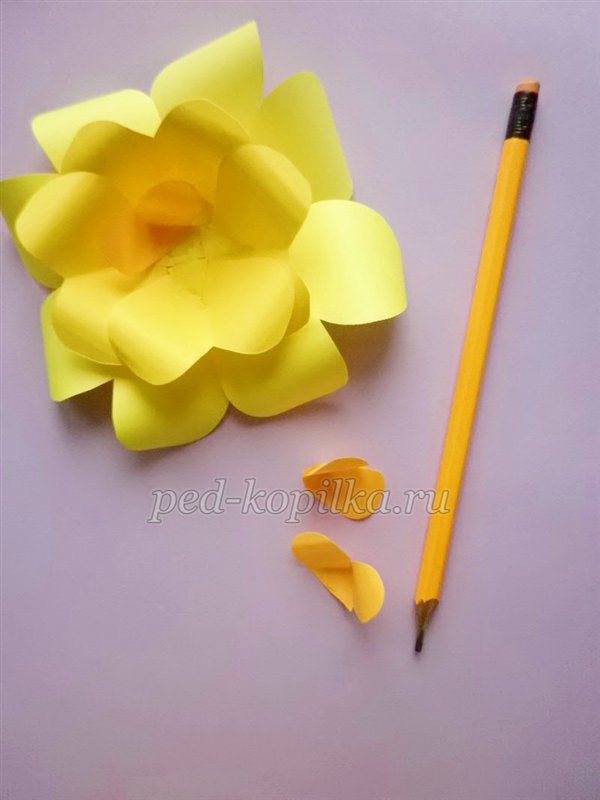 Панно з паперовими квітами. Майстер-клас Панно з паперовими квітами. Майстер-клас