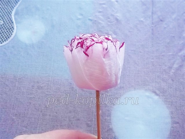 Півонії. Робота виконана в техніці світ - дизайн. Майстер-клас