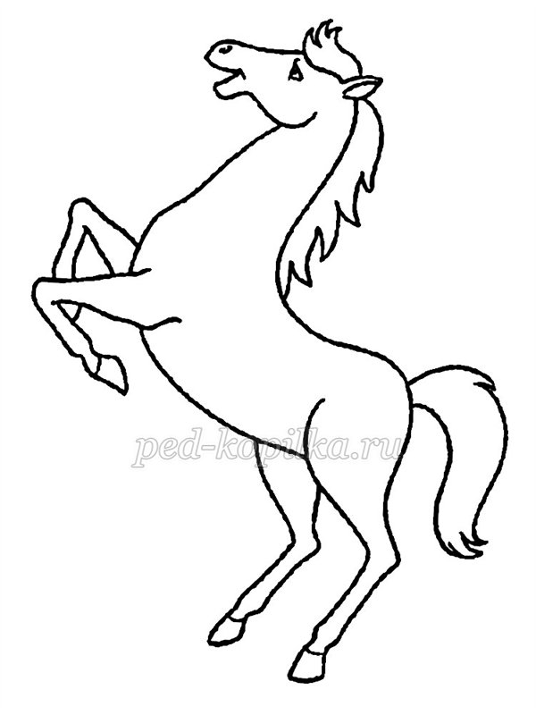 М'яка іграшка Кінь. Майстер клас М'яка іграшка Кінь. Майстер клас