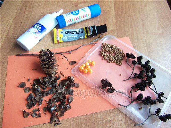 Осіннє панно з природного матеріалу. Майстер-клас Осіннє панно з природного матеріалу. Майстер-клас