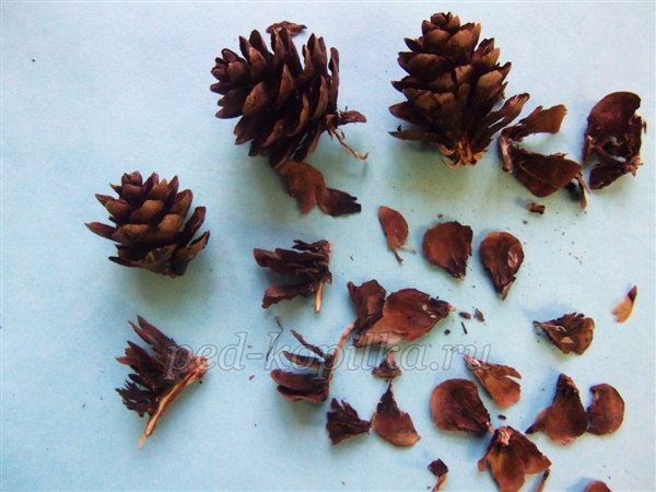 Осіннє панно з природного матеріалу. Майстер-клас Осіннє панно з природного матеріалу. Майстер-клас