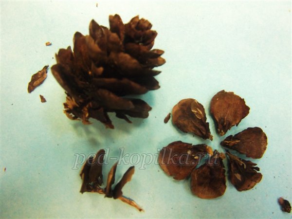 Осіннє панно з природного матеріалу. Майстер-клас Осіннє панно з природного матеріалу. Майстер-клас