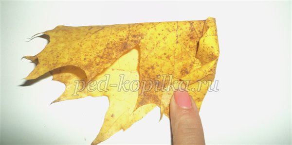 Вироби з природних матеріалів Вироби з природних матеріалів