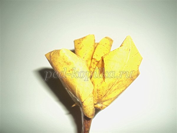 Вироби з природних матеріалів Вироби з природних матеріалів