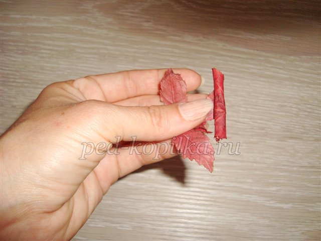 Троянди з осіннього листя. Майстер-клас Троянди з осіннього листя. Майстер-клас