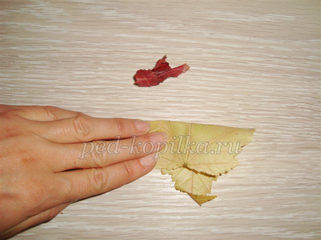 Троянди з осіннього листя. Майстер-клас Троянди з осіннього листя. Майстер-клас