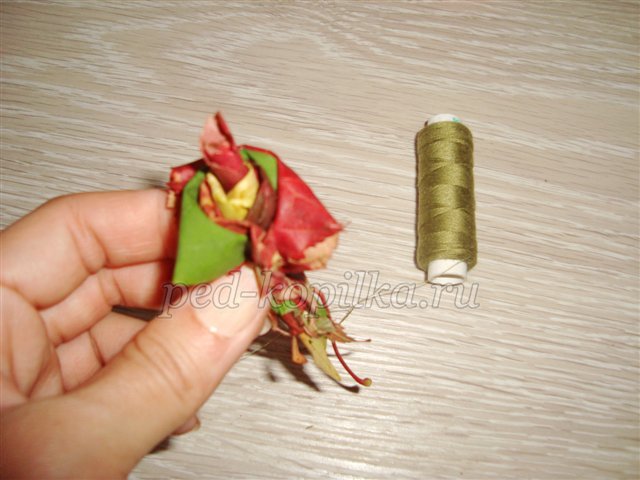 Троянди з осіннього листя. Майстер-клас Троянди з осіннього листя. Майстер-клас