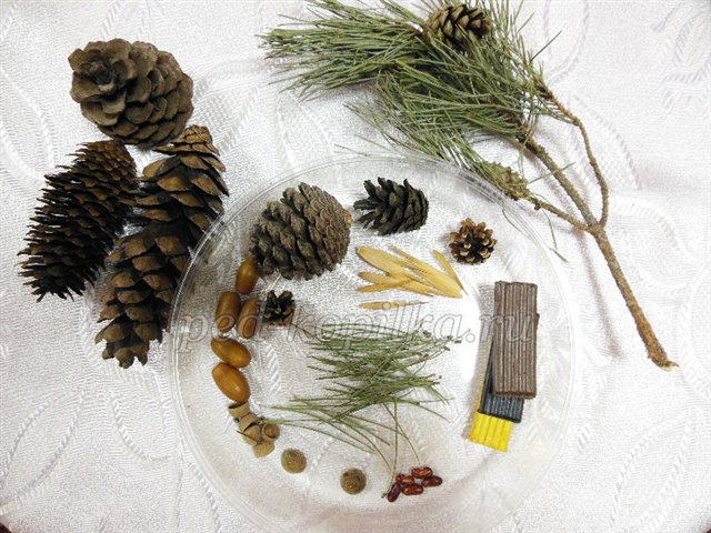 Поробка з природного матеріалу. Звірі в школі