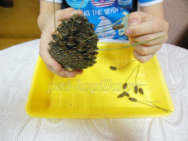 Поробка з природного матеріалу. Звірі в школі