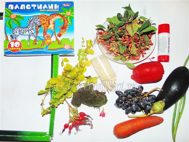 Осінні вироби з природного матеріалу в старшій групі Осінні вироби з природного матеріалу в старшій групі