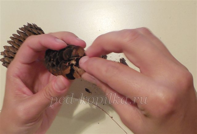 Вироби з шишок. Шишкозаврик. Майстер-клас