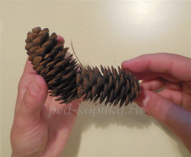 Вироби з шишок. Шишкозаврик. Майстер-клас