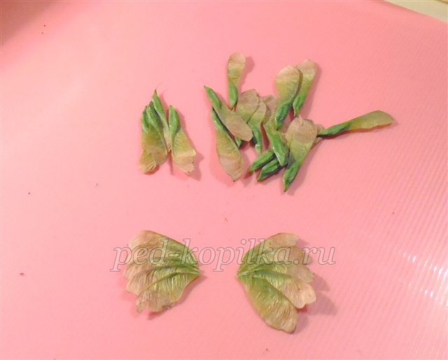 Вироби з шишок. Шишкозаврик. Майстер-клас