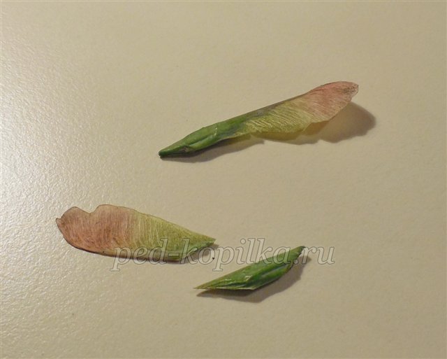 Вироби з шишок. Шишкозаврик. Майстер-клас