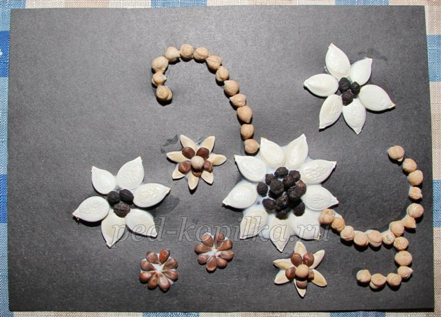 Вироби з природного матеріалу. Квіти з насіння. Майстер-клас Вироби з природного матеріалу. Квіти з насіння. Майстер-клас