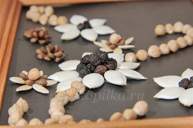 Вироби з природного матеріалу. Квіти з насіння. Майстер-клас Вироби з природного матеріалу. Квіти з насіння. Майстер-клас