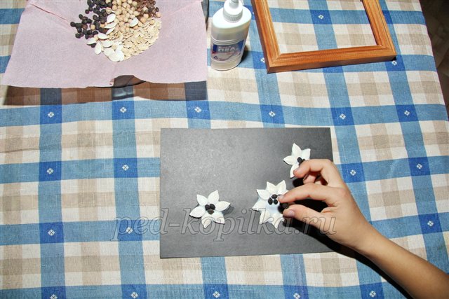 Вироби з природного матеріалу. Квіти з насіння. Майстер-клас Вироби з природного матеріалу. Квіти з насіння. Майстер-клас