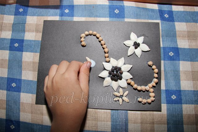 Вироби з природного матеріалу. Квіти з насіння. Майстер-клас Вироби з природного матеріалу. Квіти з насіння. Майстер-клас