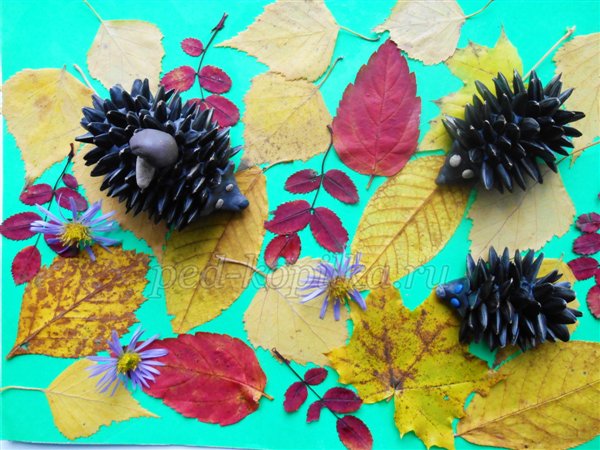 Осінні вироби з природного матеріалу. Їжачки Осінні вироби з природного матеріалу. Їжачки