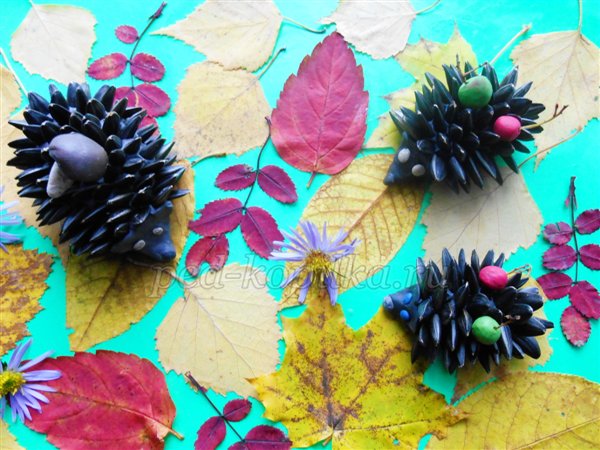 Осінні вироби з природного матеріалу. Їжачки Осінні вироби з природного матеріалу. Їжачки
