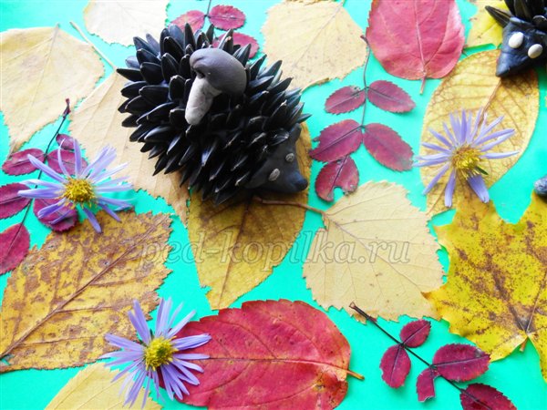 Осінні вироби з природного матеріалу. Їжачки Осінні вироби з природного матеріалу. Їжачки