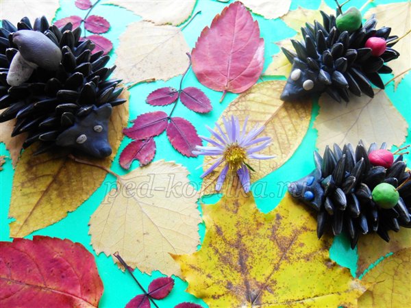 Осінні вироби з природного матеріалу. Їжачки Осінні вироби з природного матеріалу. Їжачки