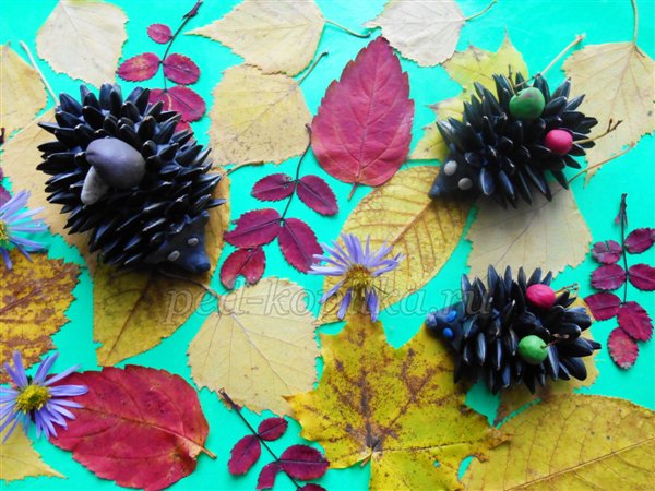 Осінні вироби з природного матеріалу. Їжачки Осінні вироби з природного матеріалу. Їжачки
