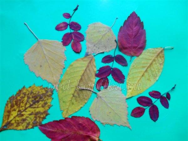 Осінні вироби з природного матеріалу. Їжачки Осінні вироби з природного матеріалу. Їжачки