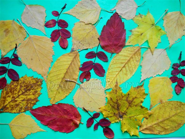 Осінні вироби з природного матеріалу. Їжачки Осінні вироби з природного матеріалу. Їжачки