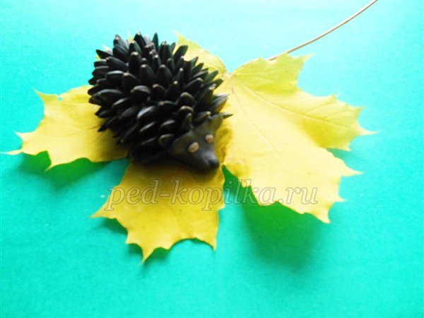 Осінні вироби з природного матеріалу. Їжачки Осінні вироби з природного матеріалу. Їжачки